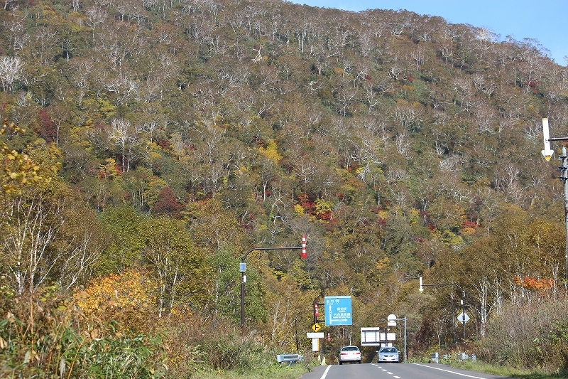 b0250154_22404034.jpg