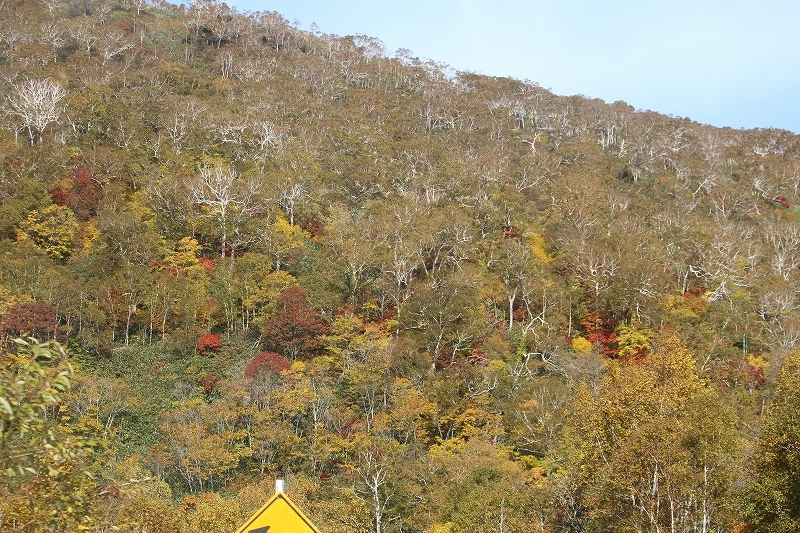 b0250154_22405290.jpg