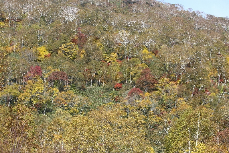 b0250154_22410479.jpg