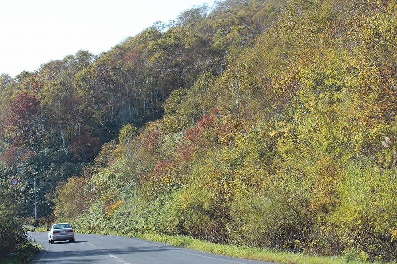 b0250154_22420438.jpg