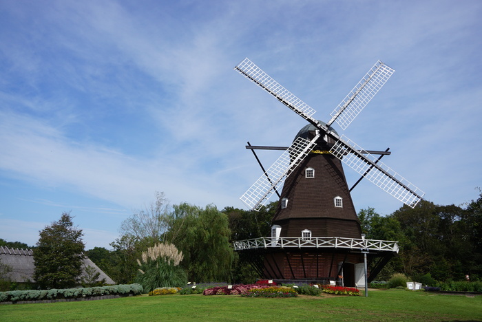 d0152261_17291497.jpg