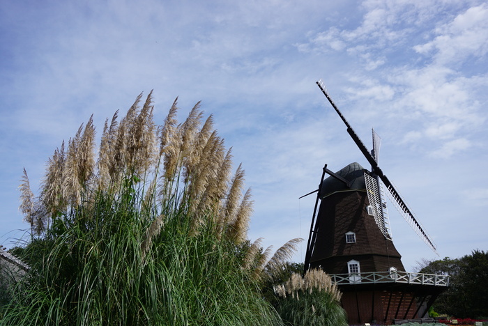 d0152261_1735357.jpg