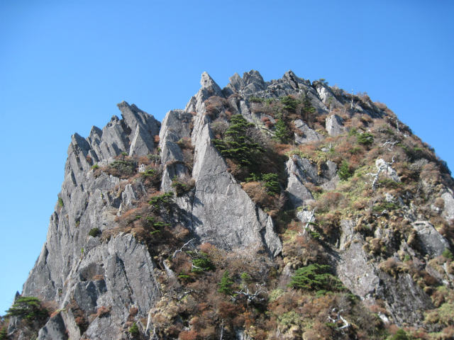 c0219866_1135333.jpg