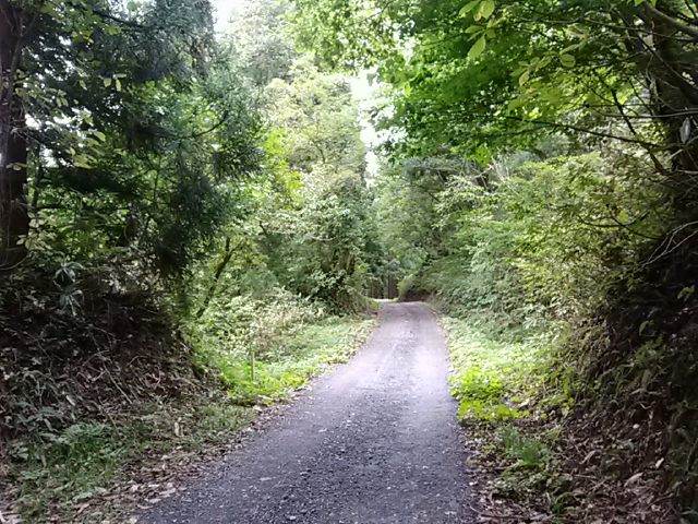 e0296069_214118.jpg
