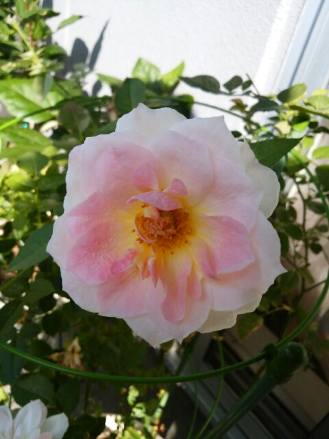 f0200871_23545279.jpg