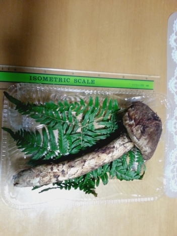 f0219773_00155852.jpg