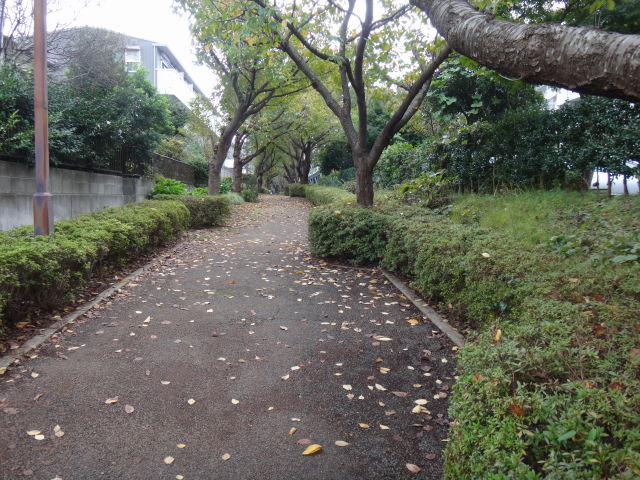a0113874_10422231.jpg
