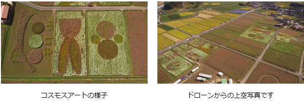 d0126577_16411353.png