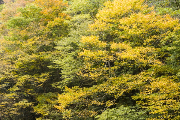b0247880_8452758.jpg