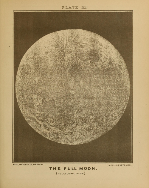 c0084183_22322833.jpg