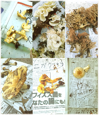 c0145183_20331088.jpg