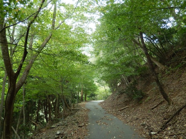 c0144185_2105985.jpg