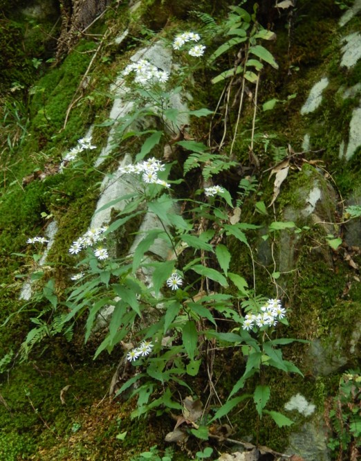 c0144185_21371198.jpg