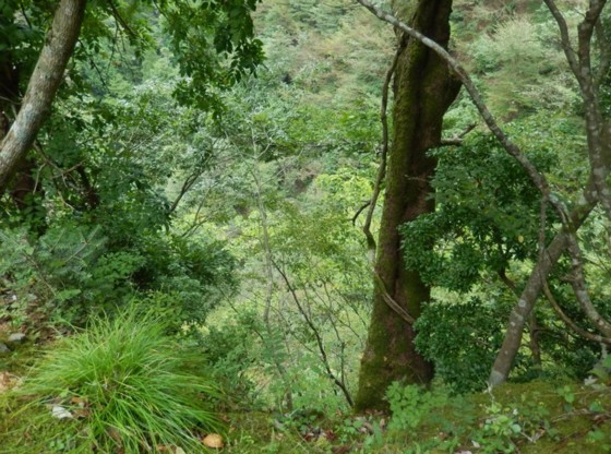c0144185_21461138.jpg