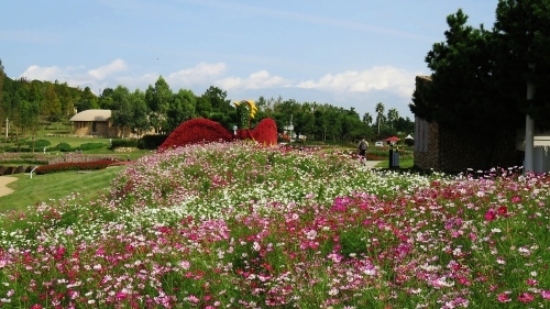 e0340485_09013366.jpg