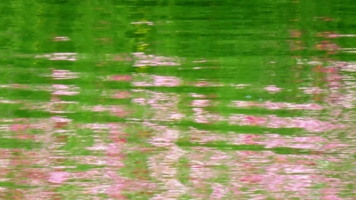 e0340485_09033828.jpg