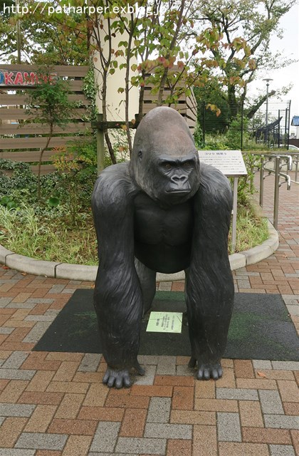 a0052986_7491534.jpg