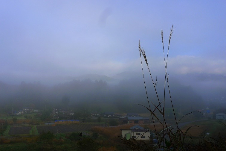 a0130586_104266.jpg