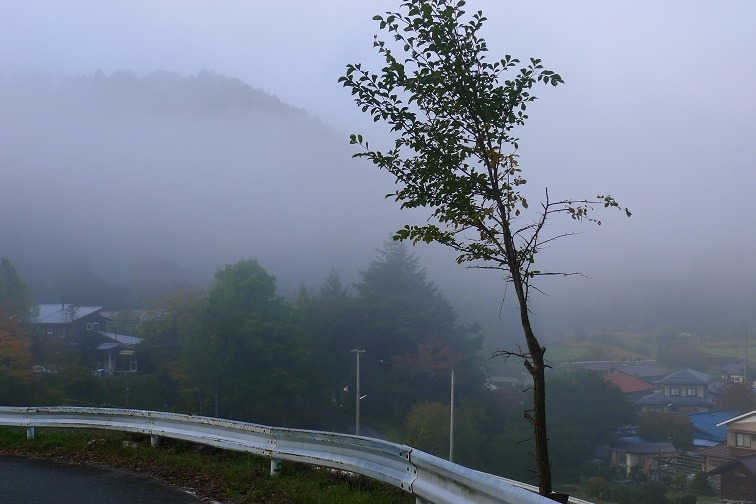 a0130586_106546.jpg