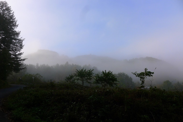 a0130586_1073721.jpg