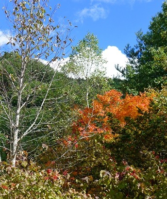 a0130586_17141935.jpg