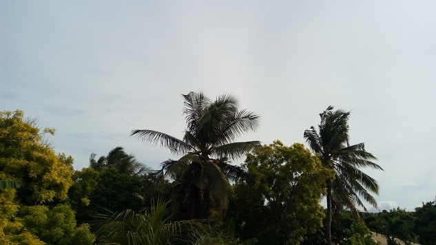 a0109187_11194472.jpg