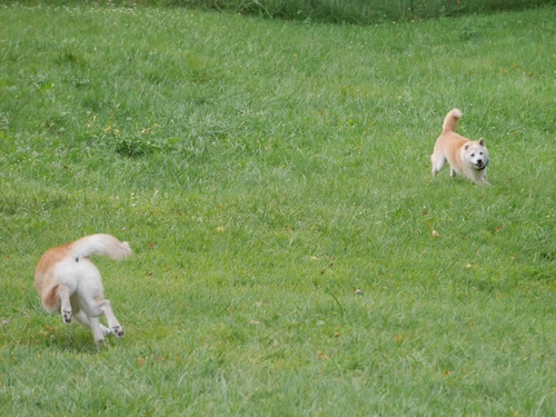 c0123890_2016192.jpg