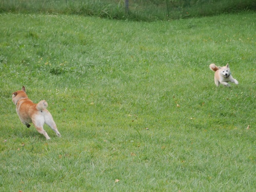 c0123890_2016711.jpg