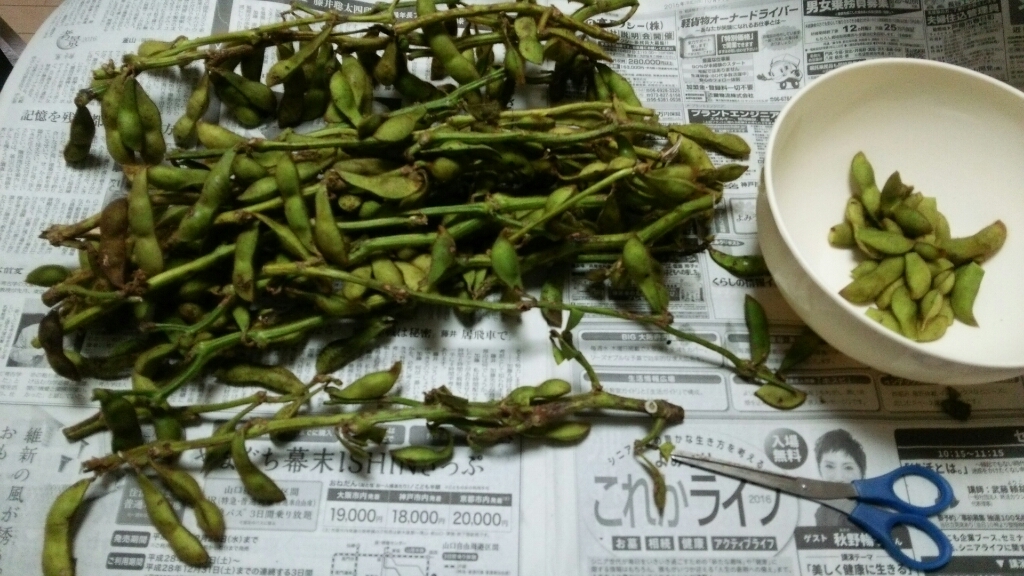 c0109891_01082069.jpg