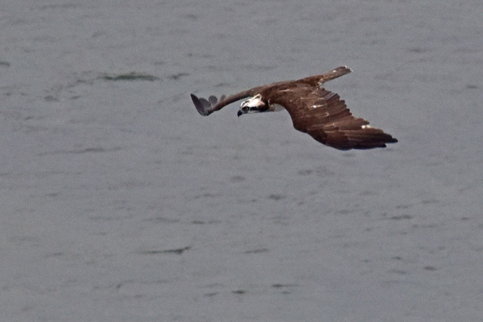 c0049299_22182144.jpg