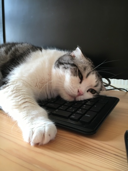 c0011300_22311229.jpeg