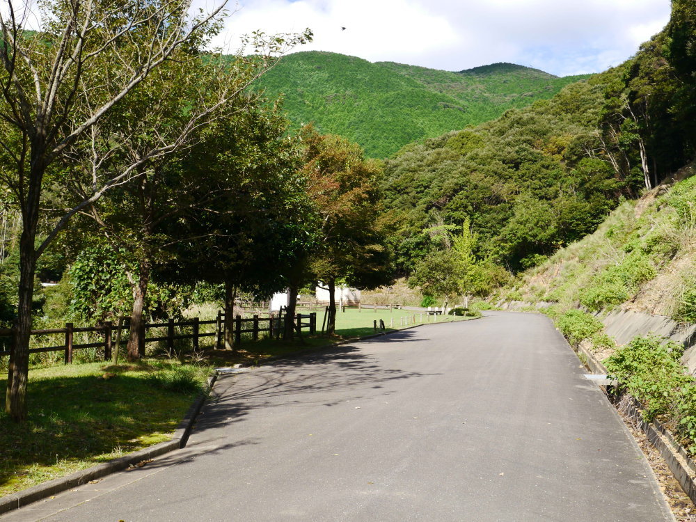 b0165802_23540651.jpg