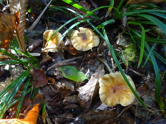 c0369304_23350853.jpg