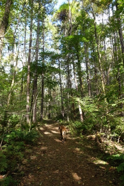e0192217_16174859.jpg