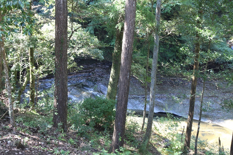 e0341417_06523229.jpg
