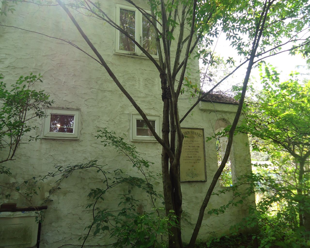 b0248920_18524522.jpg