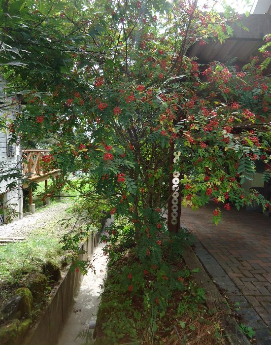 b0248920_1943366.jpg