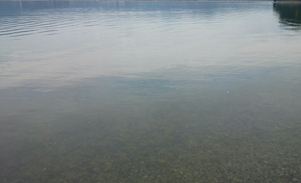 b0259124_08564982.jpg