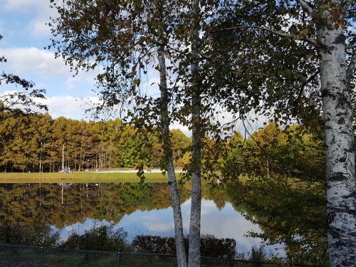 e0016828_10475516.jpg