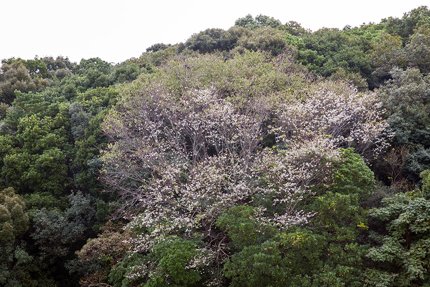 d0147530_114954100.jpg