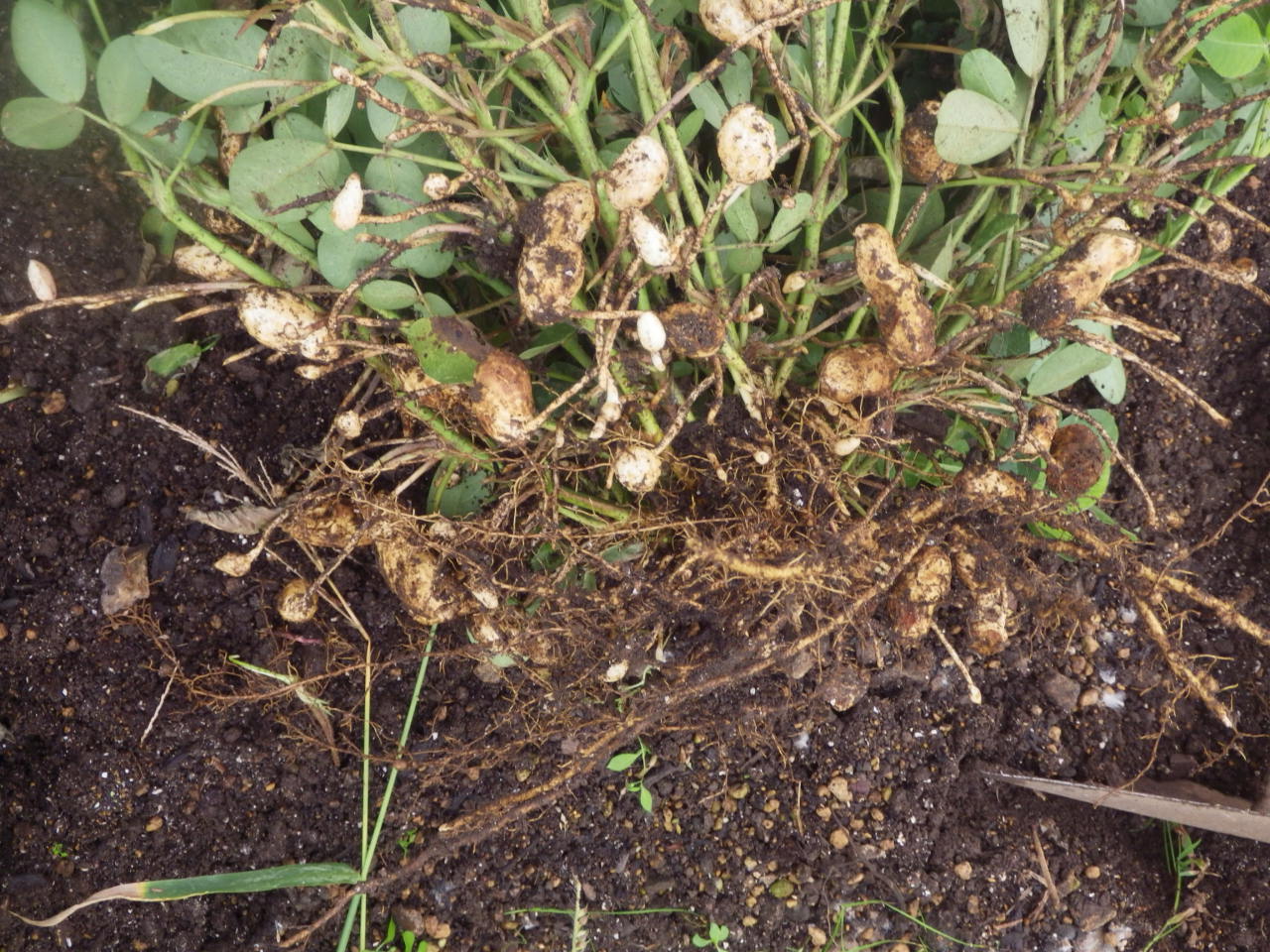 c0300035_16493634.jpg