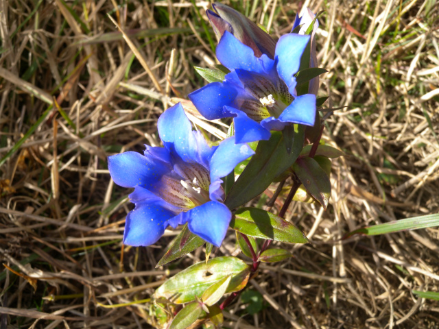 e0272335_1847771.jpg