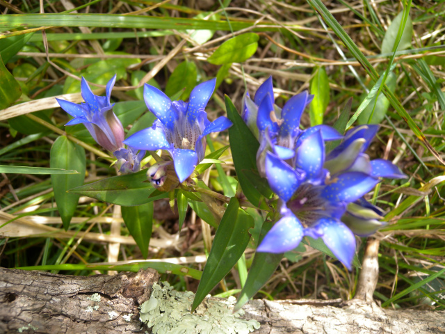 e0272335_19503693.jpg