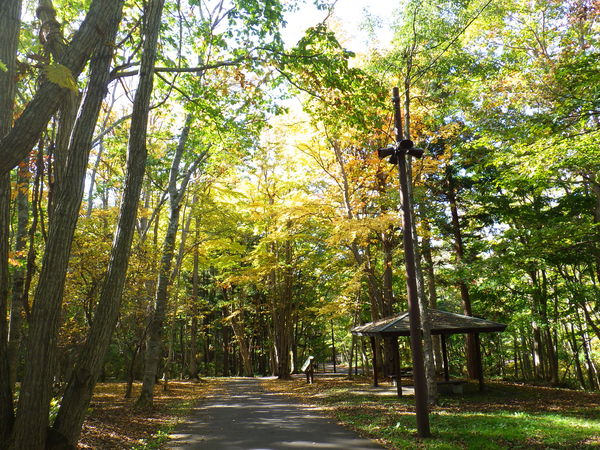 c0233141_1351486.jpg