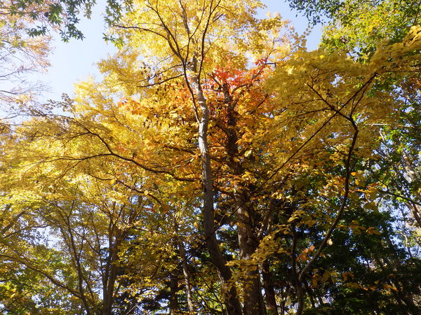 c0233141_1352885.jpg