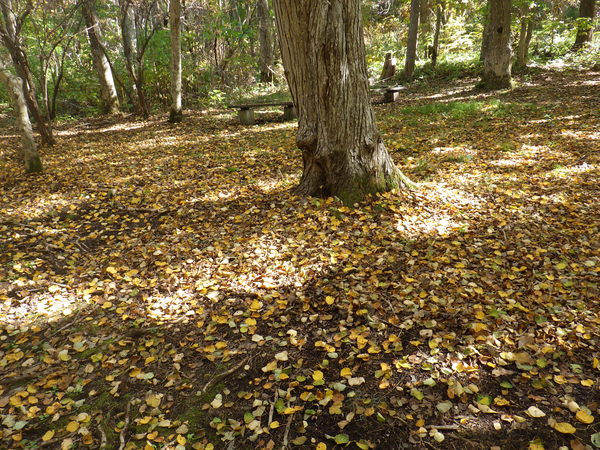 c0233141_135472.jpg