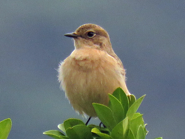 f0214649_333665.jpg
