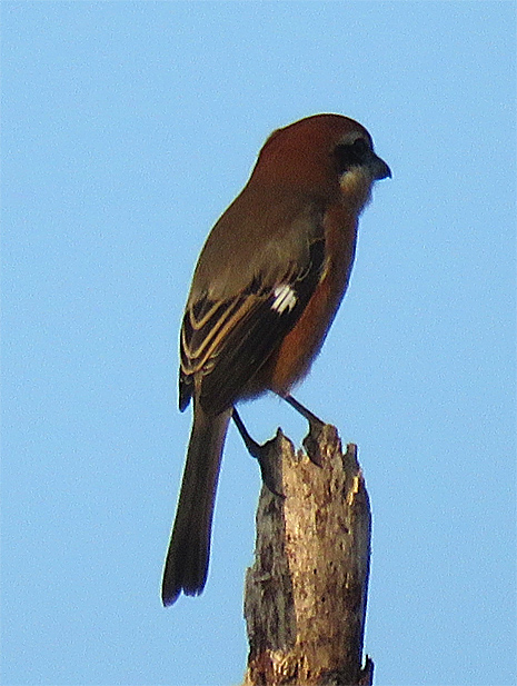 f0214649_343342.jpg