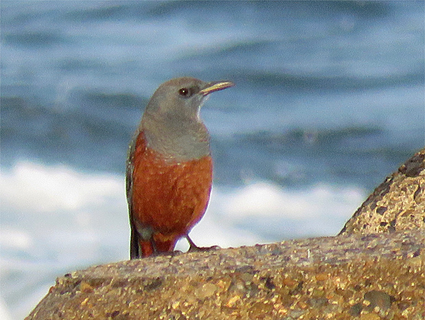 f0214649_3451811.jpg