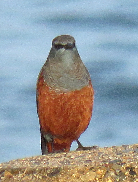 f0214649_3453550.jpg